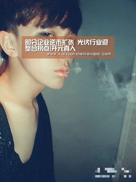 部分企业逆市扩张 光伏行业迎整合拐点|开元真人(图3) 开元真人