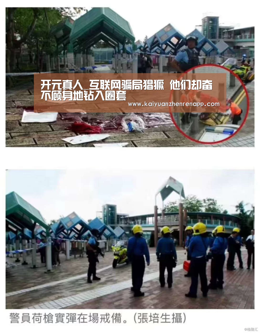 开元真人_互联网骗局猖獗 他们却奋不顾身地钻入圈套(图3) 开元真人