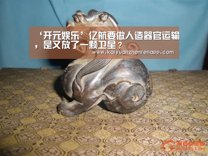 ‘开元娱乐’亿航要做人造器官运输,是又放了一颗卫星?(图2) 开元真人