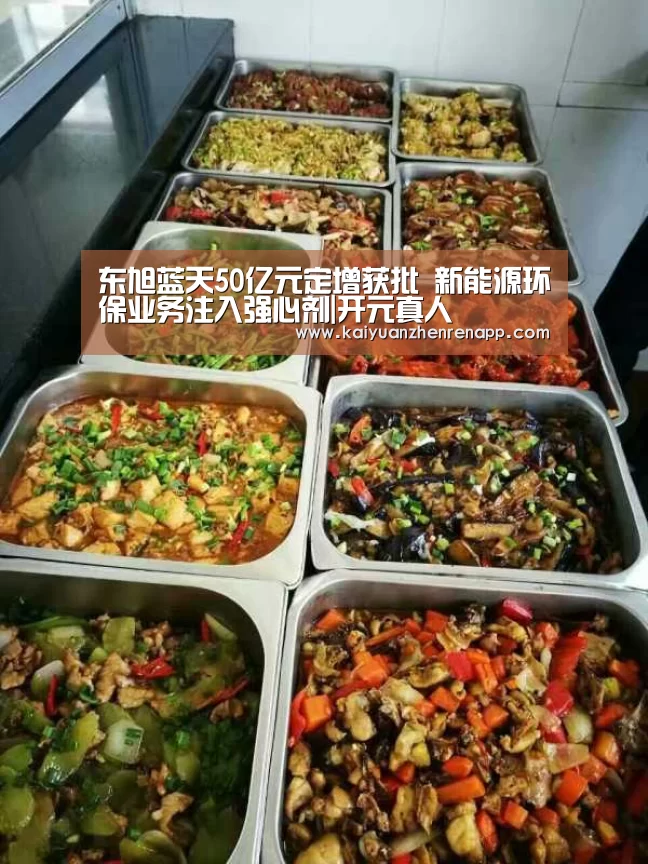 东旭蓝天50亿元定增获批 新能源环保业务注入强心剂|开元真人(图1) 开元APP