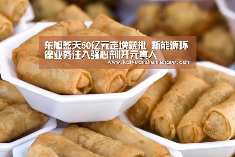 东旭蓝天50亿元定增获批 新能源环保业务注入强心剂|开元真人(图2) 开元真人