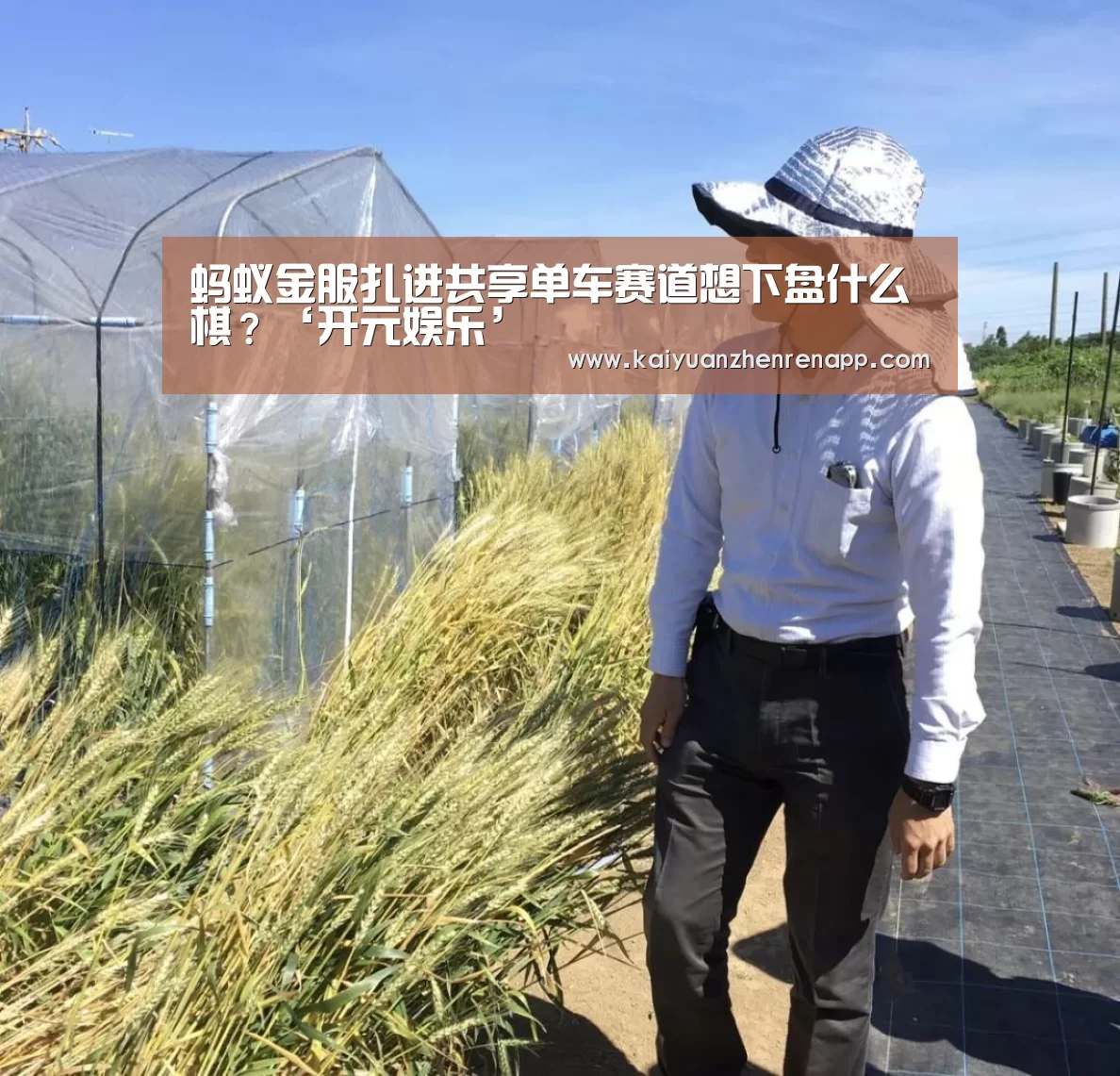 蚂蚁金服扎进共享单车赛道想下盘什么棋?‘开元娱乐’(图2) 开元登录