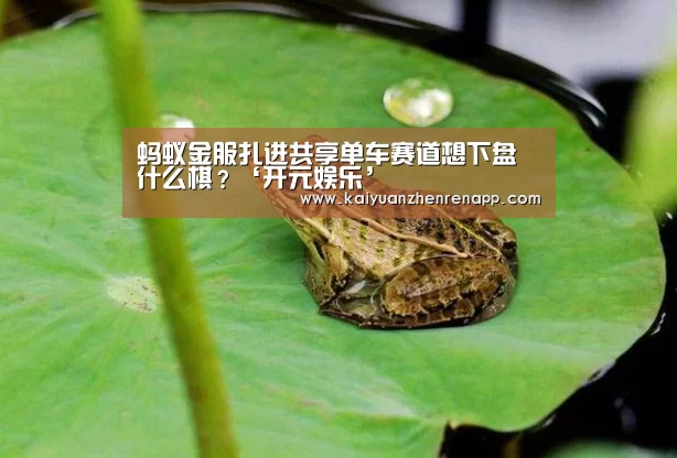 蚂蚁金服扎进共享单车赛道想下盘什么棋?‘开元娱乐’(图4) 开元娱乐