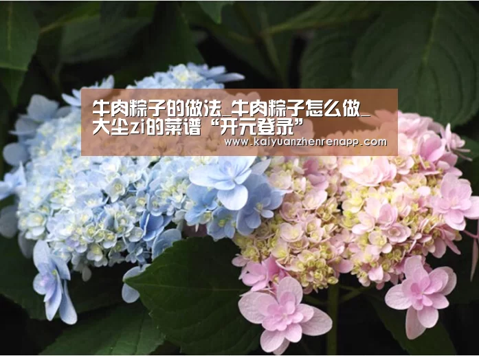 牛肉粽子的做法_牛肉粽子怎么做_大尘zi的菜谱“开元登录”(图2) 开元娱乐