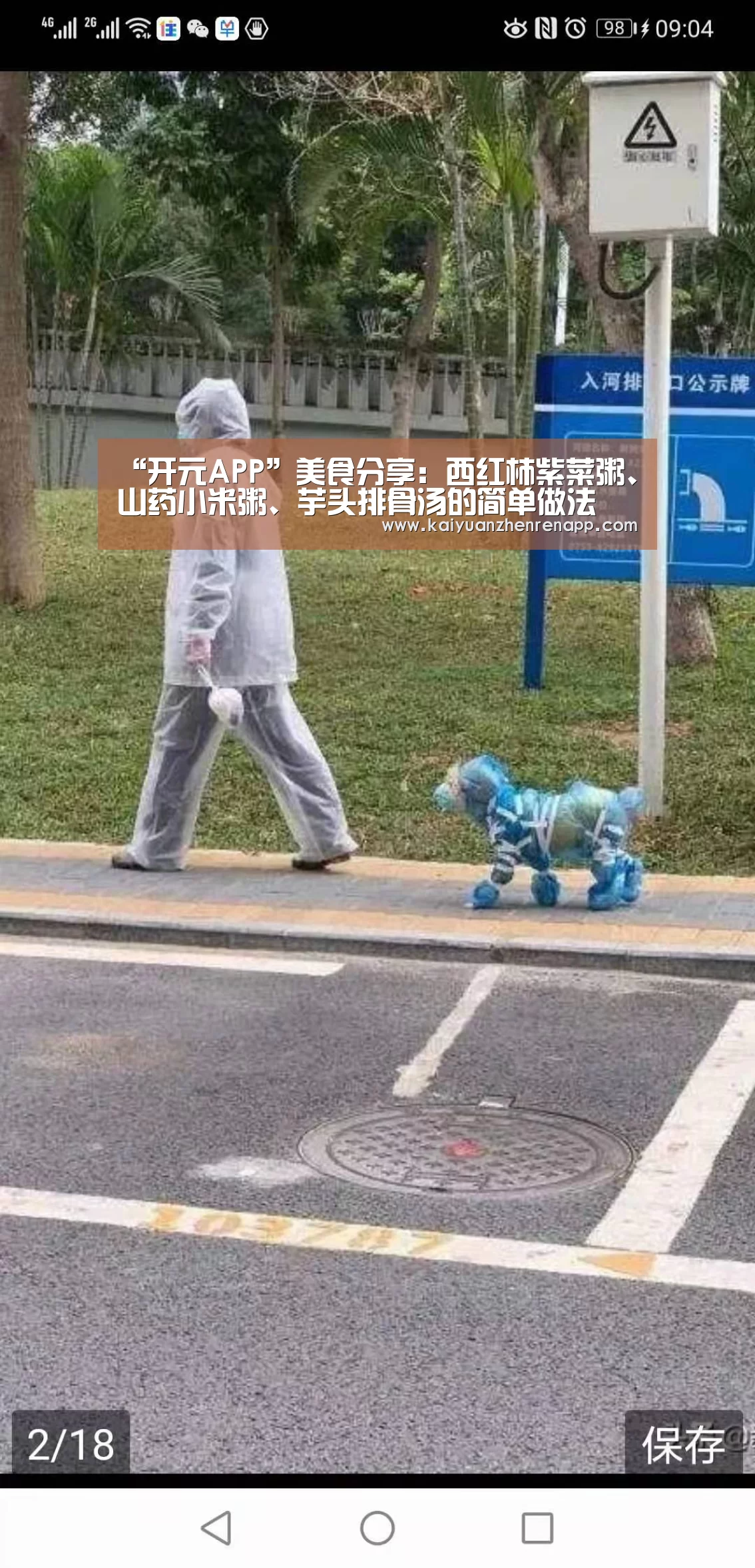 “开元APP”美食分享:西红柿紫菜粥、山药小米粥、芋头排骨汤的简单做法(图1) 开元登录