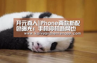 开元真人|iPhone两款新配色曝光;手机停机断网也能用微信充值;任正非说鸿蒙比安卓快|雷锋早报(图1) 开元登录