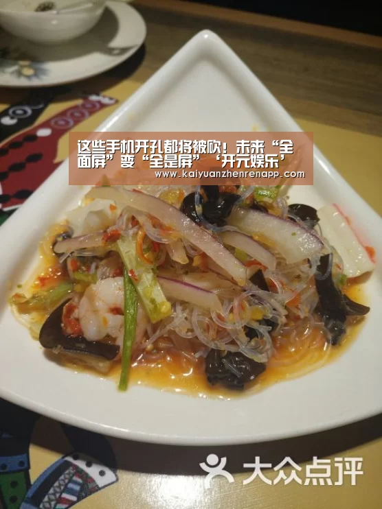 这些手机开孔都将被砍!未来“全面屏”变“全是屏”‘开元娱乐’(图4) 开元娱乐